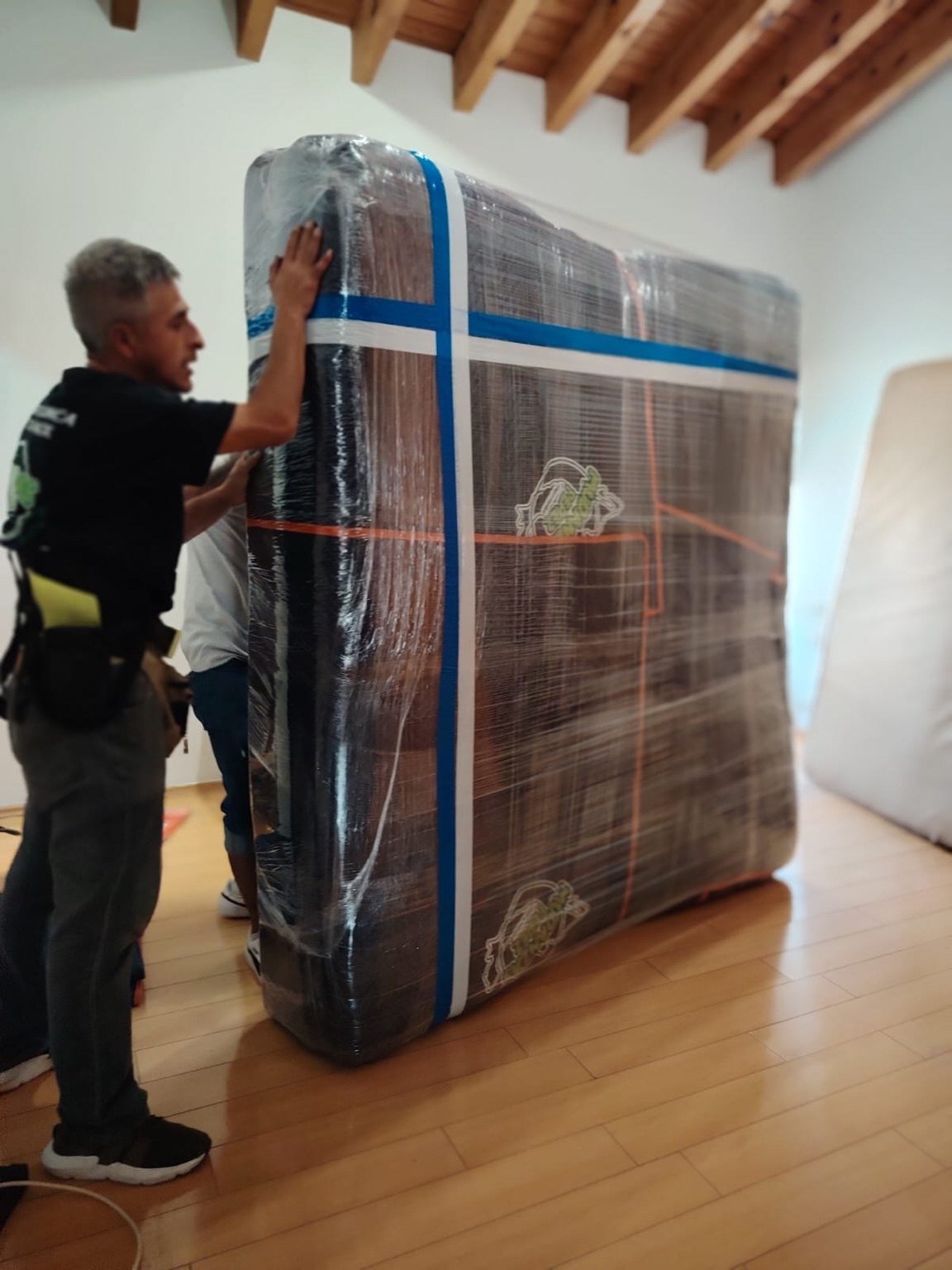 Mueble protegido para traslado